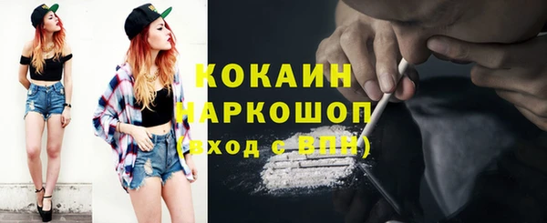 spice Пестово