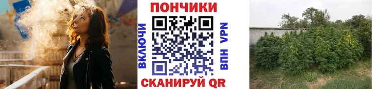 купить   Пересвет  Бошки Шишки Ganja 
